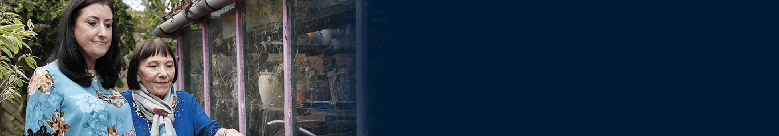 نظرة للمستقبل